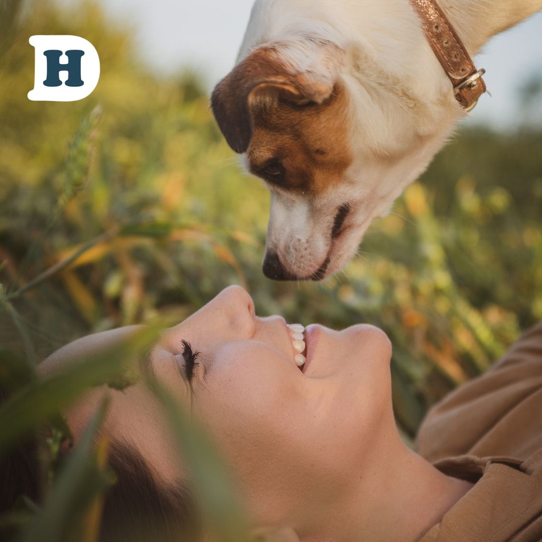 Unlocking the Well-Being Boost: The Science of Pet Care