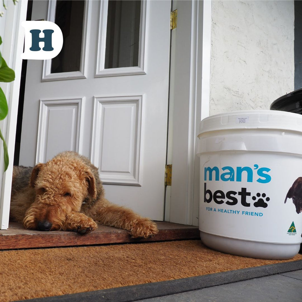 Zero Waste Dog Food A Sustainable Solution for Pet Owners