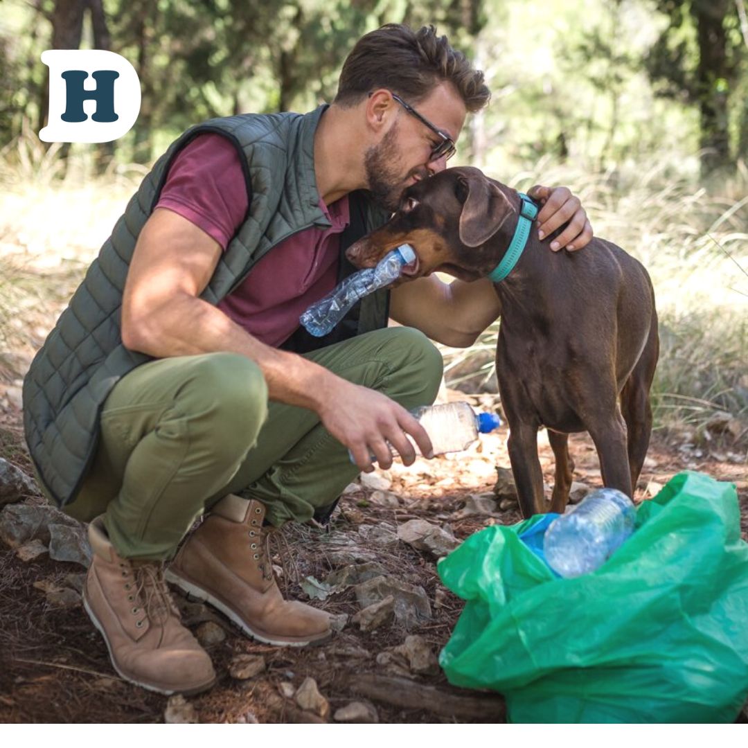 How Delivery Hound Helps Cut Down on Single-Use Plastic Waste