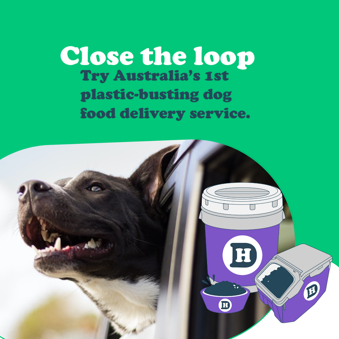 How to Choose the Best Dog Food Delivery Service