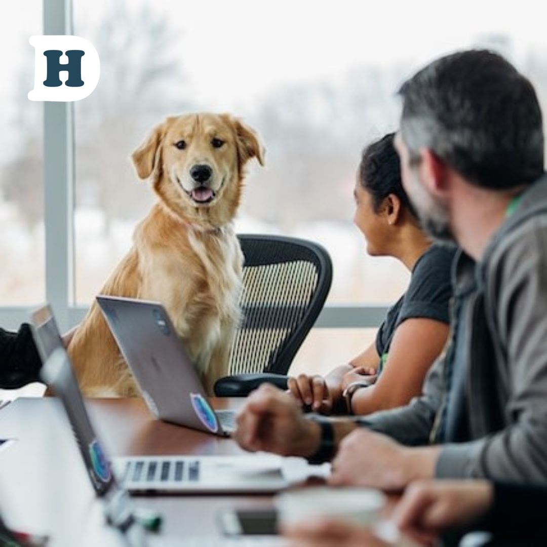 The Dos and Don'ts of Bringing Your Dog to Work